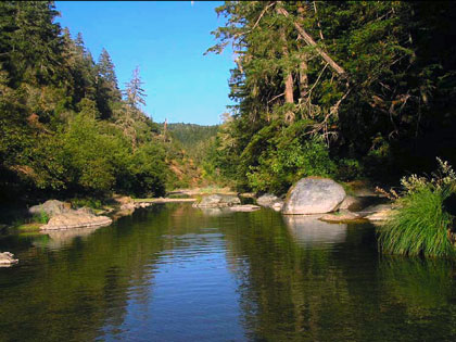 7/28/07 Wheatfield Fork, Gualala River, about one quarter mile upstream from Clark's Crossing (Annapolis Road Bridge) where the bed is cut into impervious bedrock.