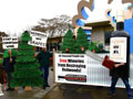 Stop Wineries from Destroying Redwoods