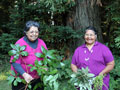 Pomo elders Violet Parrish Chappell and Vivian Parrish Wilder