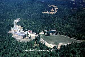 Aerial photo of the Campbell Vineyard Aerial photo of the Campbell Vineyard