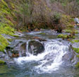 Gualala River cascade