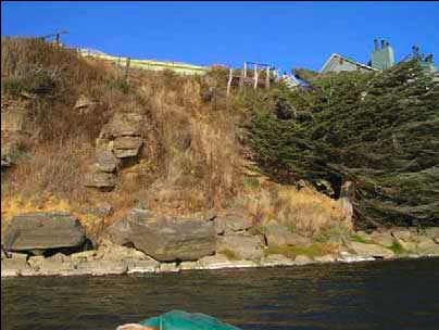 Shallow debris slide, photo courtesy of Peter Baye