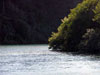 Wild & Scenic Gualala River, estuary