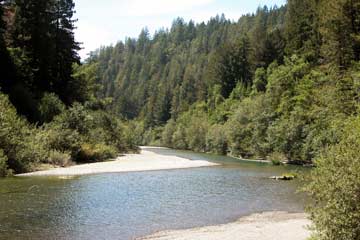 Wild & Scenic Gualala River, winding through coastal redwood forest