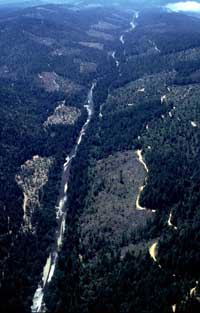 Gualala River, north-to-south aerial, June 1999