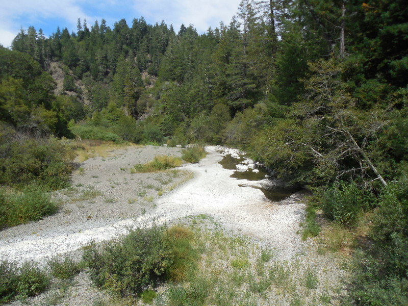 Wheatfield Fork, Gualala River, upstream of the Annapolis Road bridge at Skagg Springs Road, August 17, 2013