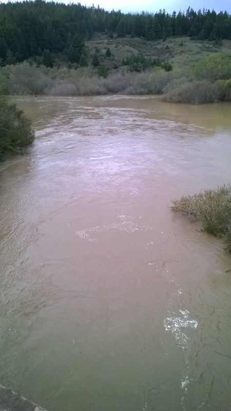 South Fork Gualala River at Twin Bridges, Wednesday, December 3, 2014