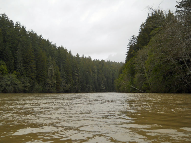 Gualala River floodplain