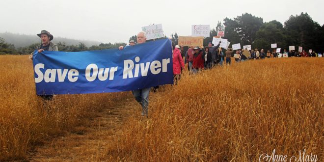 "Rally for the River" - July 16, 2016; photo credit: Anne Mary Schaefer