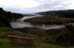 Even though its winter, the Gualala River Estuary is in Bud, by Robert Scarola