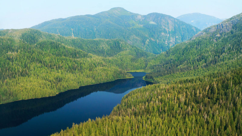 Photo: Aerial view of Tongass National Forest: Alan Wu / Flickr Creative Commons