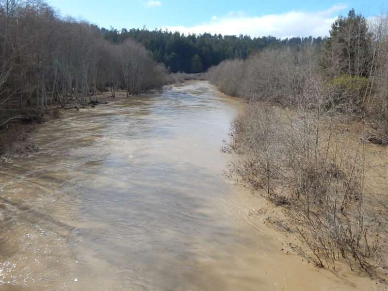 Wheatfield Fork bridge, looking downstream, Feb 2019