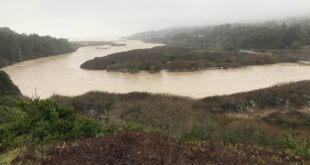 Gualala River estuary during 'atmospheric river' (Feb. 26, 2019), photo by Jeanne Jackson