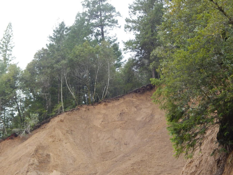 Landslide at Stewarts Point-Skaggs Springs Road west of Soda Springs site (USGS map place-name). Scarp at top of landslide, about 300 ft above the riverbed. March 3, 2019.