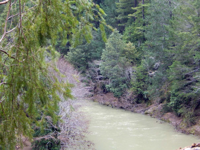 River turbidity upstream of landslide; similar to downstream. March 3, 2019.