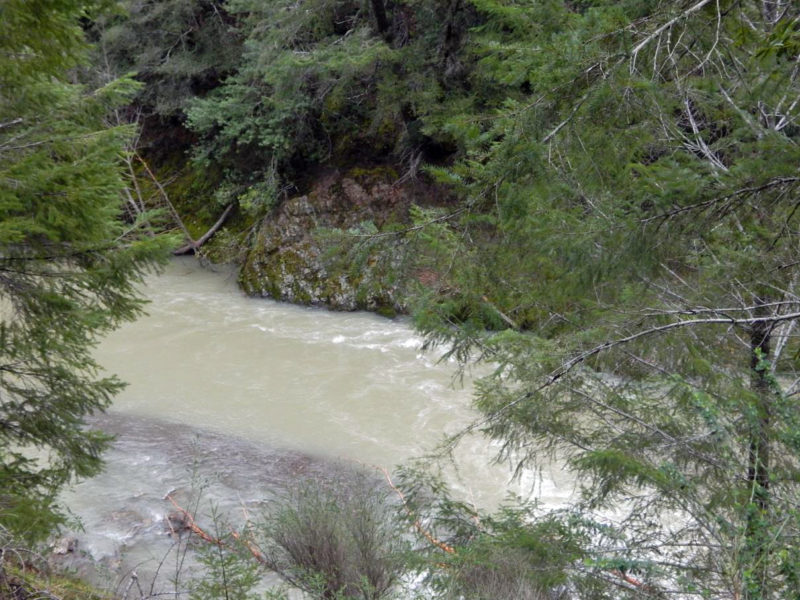 River turbidity downstream of landslide; olive gray-green hue; visibility to depth of at least 6 inches. Note visible cobbles shallowly submerged below the bank. March 3, 2019.