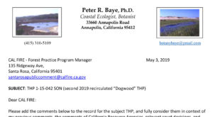 Dogwood THP comments by Dr. Peter Baye, May 2019