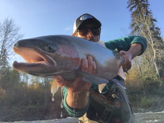 Earth Day webinar with a fish biologist Born with Gills