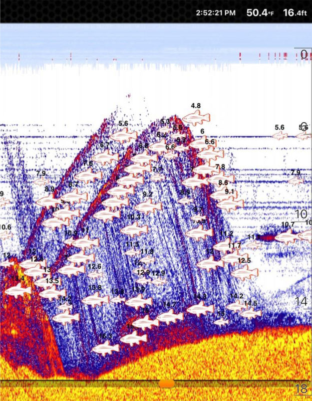 Frissell-Sonar-fish-finder-image-taken-at-Gualala-River-Estuary