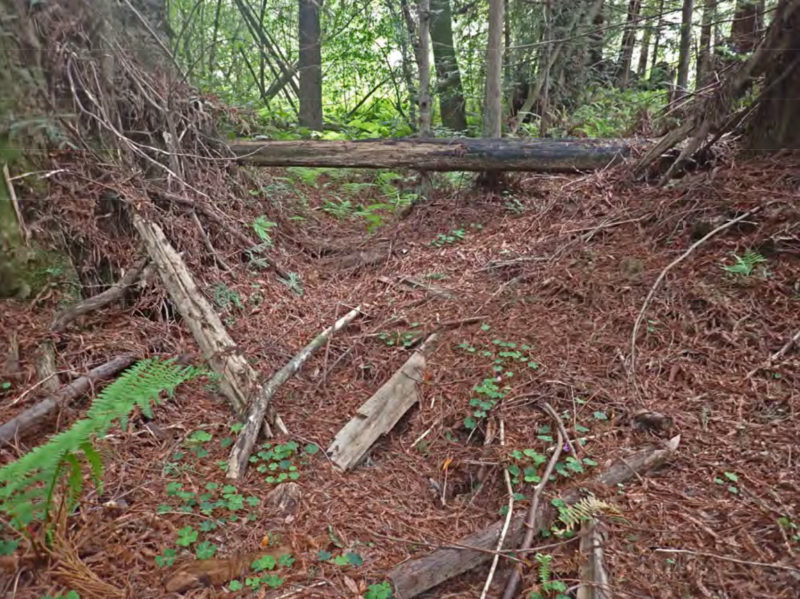 Frissell-dry-floodplain-channel-swale