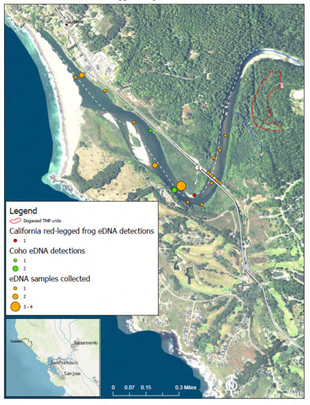 Kupferberg-E2-Detection-of-red-legged-frog-eDNA-Dogwood-unit-1