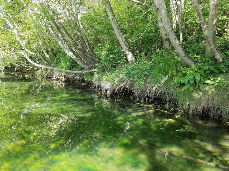 Kupferberg-Typical-side-pool-in-South-Fork-Gualala-River