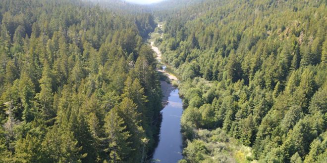 Gualala River Sediment Reduction Planning Moves Forward After FoGR Win ...