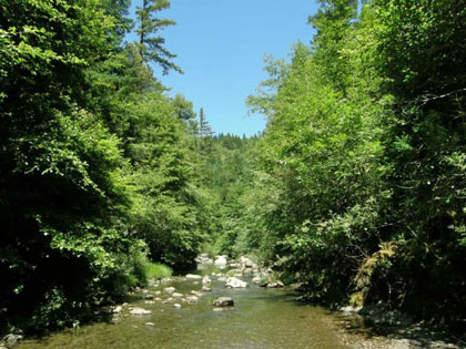 Buckeye Creek above Soda Springs Reserve