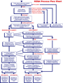 CEQA process chart