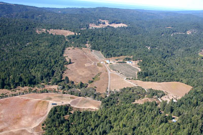 Vineyard conversion in Annapolis, Sonoma County