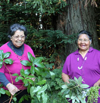 Violet Parrish Chappell and Vivian Parrish Wilder, Kashaya Pomo elders