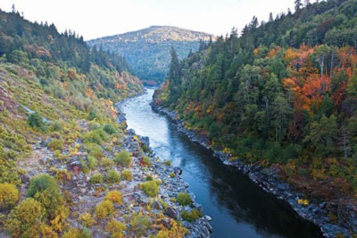 Yurok Tribe buys coastal forest in Humboldt County